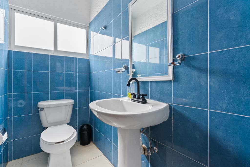 Baño de Aralias