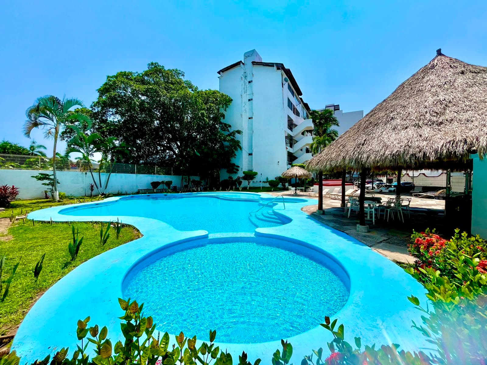 Vista amplia de la alberca común con vegetación y palapa de Mangos